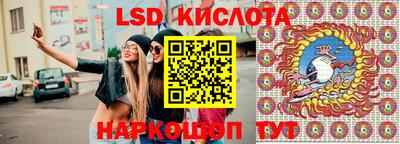 твердый Сланцы