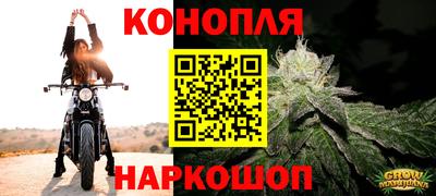 молекула духа Славгород