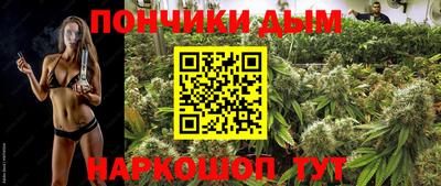 твердый Сланцы