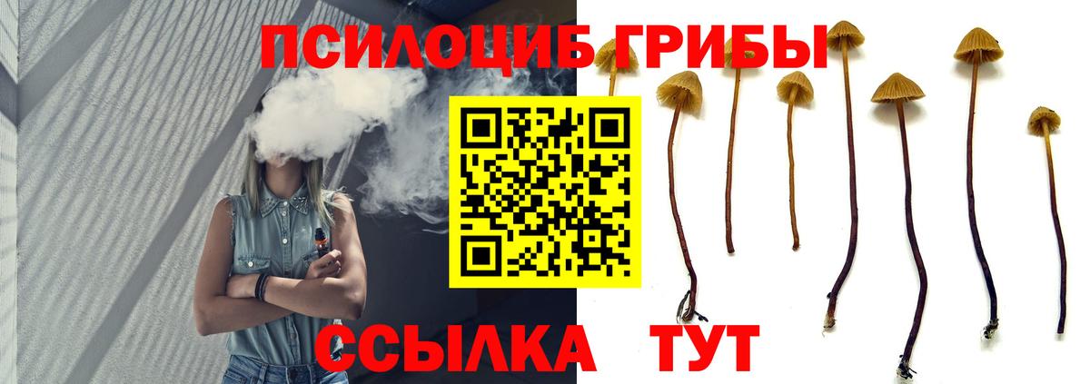 Галлюциногенные грибы Magic Shrooms Асбест